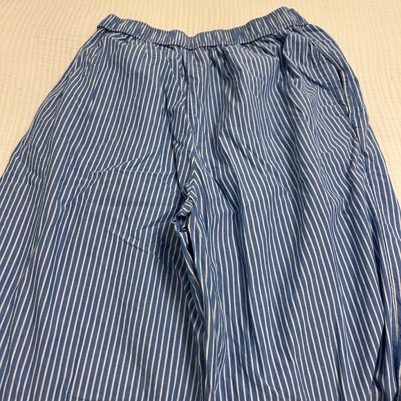 Anthropologie Blue Striped Pants - Picture 3 of 4